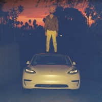 Songs for Tesla Drivers - Netherfriends