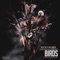 Birds (feat. Young Boss, Mr. Hustle & J Spades) - Ricky Banks lyrics