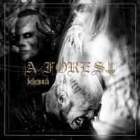 descargar bajar mp3 A Forest - EP - Behemoth