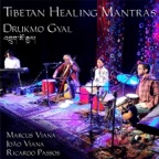 Purification Mantra of the Five Elements (feat. Marcus Viana, João Viana & Ricardo Passos)