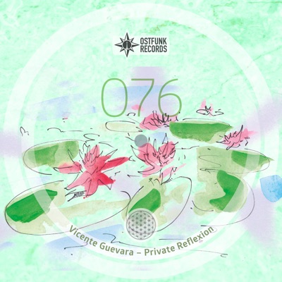 Private Reflexion - Single