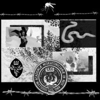 Lovecraft's Catgirl - Single - Fubar Bundy