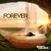 Forever (feat. Julian Roso & Scott Paddock) song reviews