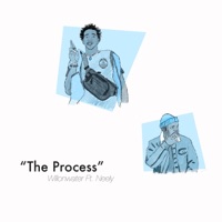 The Process (feat. Neely) - Single - Willonwater