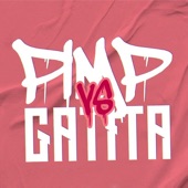 Gatita Vs P.I.M.P (Mashup Tiktok) [Remix] artwork