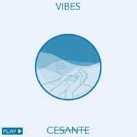 Vibes - Single - Cesante
