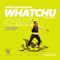 Whatchu Call It (feat. Samz_ae & 808) - Single - Breeze Zulu Bass King