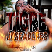 Tigre Joseadores artwork