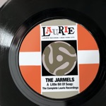 The Jarmels - The Way You Look Tonight