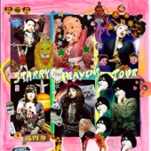 STARRY HEAVENS TOUR - EP artwork