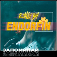 Запоминай (Remix by ENDORFIN) - Single - AVTN