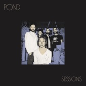 Pond - Don't Look At the Sun (Or You'll Go Blind)