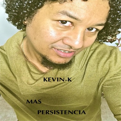 MAS Persistencia