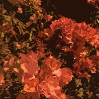 I Miss You - Single - Ghidd