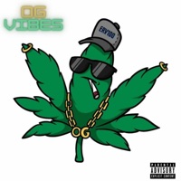 OG Vibes (feat. Luka Burr) - Single - Erv100