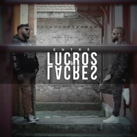 Entre Lucros e Lacres - Single - Mensageiros da Profecia