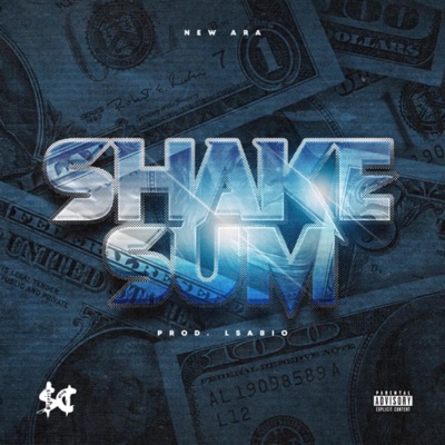 Shake Sum - Single