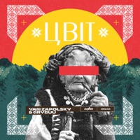 Цвіт - Single - Yan Zapolsky & Grybuu