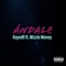 Andale (feat. Mizzle Money) - Rayed R lyrics