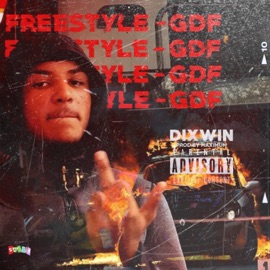Freestyle GDF Dixwin