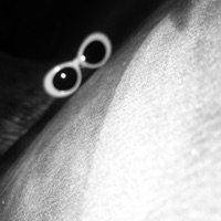 TheBernieTape - UglyBernie