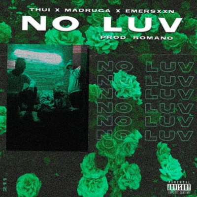 No Luv (feat. Emersxxn) - Single