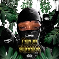 Ninja Warrior (feat. Psymuziq) - Single - LIVE FROM HEAVEN