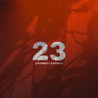 Muy Mal - Single - Lich Wezzy