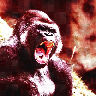 Apes in the Zoo (feat. Camo God) - Single