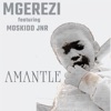 Amantle (feat. Moskidd Jnr) - Single