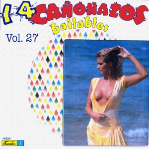 14 Cañonazos Bailables, Vol. 27 (with Vários Artistas)