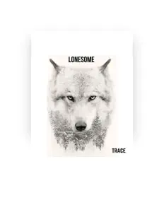 Écoutez Trace, regardez des vidéoclips, lisez la biographie, consultez les dates de tournée et plus encore !