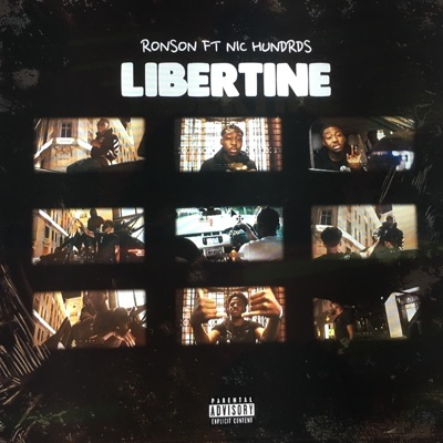 Libertine (feat. Nic Hundrds) - Single