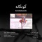 Koodakaneh (feat. Farhad) - Esfandiar Monfaredzadeh lyrics