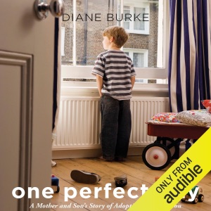 One Perfect Day: A Mother and Son's Journey of Adoption and Reunion (Unabridged)