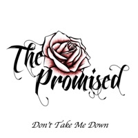 Don't Take Me Down - Single - The Promised