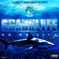 Sharklyfe or No Life - Sharklyfe Music Group