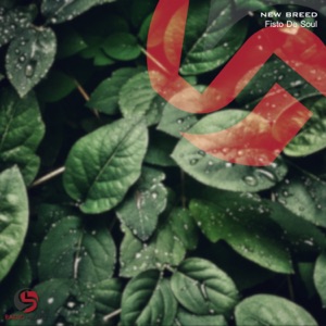 New Breed - EP