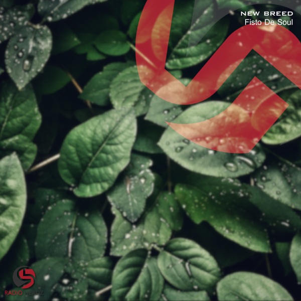 New Breed - EP