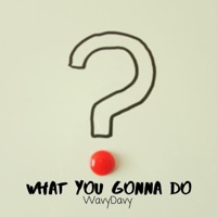 What You Gonna Do - Single - WavyDavy