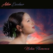 Nahia Flamenca (feat. Vanessa Triviño, Miguel Astorga & Miguel Santiago) artwork