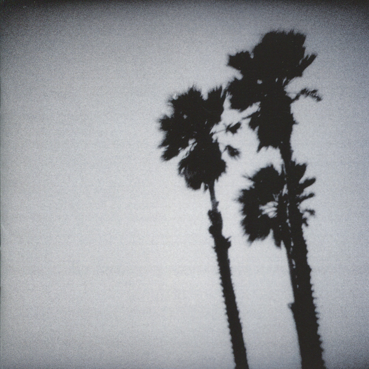 Blackberry Belle by The Twilight Singers