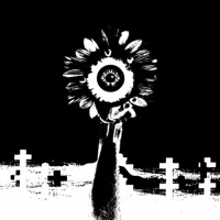 Ocean of Flowers (feat. Yung Star Rod) - Single - Pale Sage