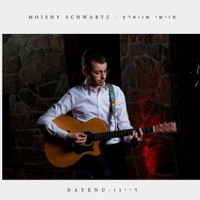 Dayenu (דיינו) - Single - Moishy Schwartz