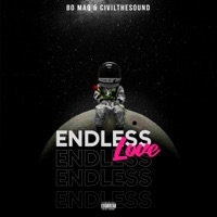 Endless Love - Single - Bo Maq & CivilTheSound