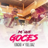 Pa' Que Goces artwork