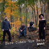 Here Comes the Rain - Single