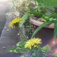 Spring, When You're Around - Single - Respite