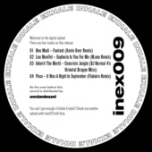 InEx009 V/A Remix EP artwork