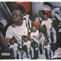 NO Hook - Single - 100packsavy